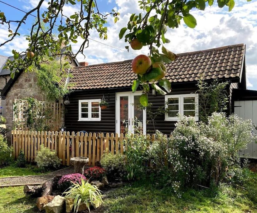 Cosy Studio Retreat In Wells, Somerset מראה חיצוני תמונה